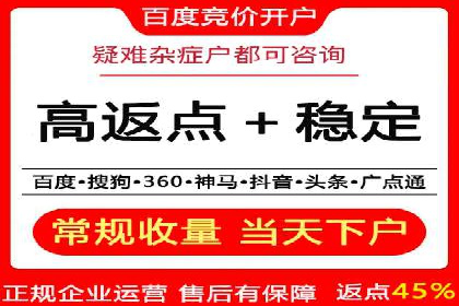 SEM代理操作技巧：成功案例揭秘
